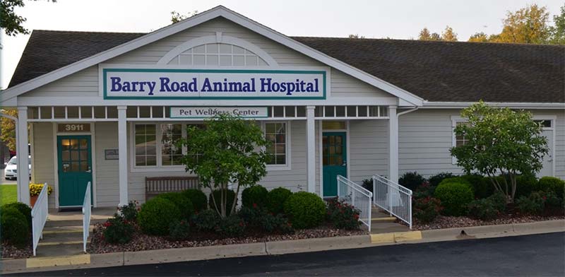 Dog + Cat Veterinarians