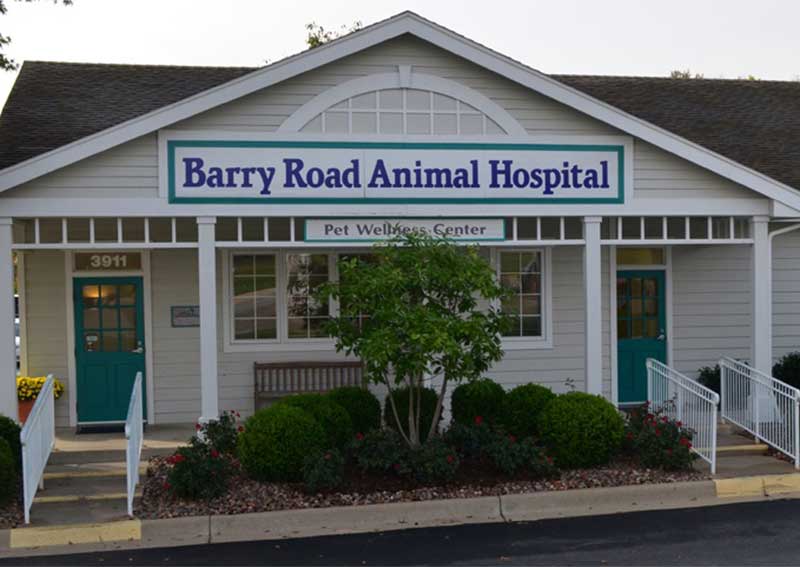 Barry Road Animal Hospital | Kansas City veterinarians